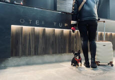 Hotel TURKUS in Polonia Bialystok